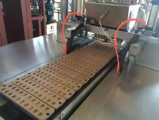 時間の機械を作る自動ゼリー キャンデー1個あたりの150kg サプライヤー